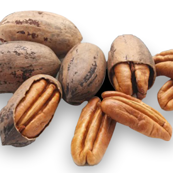 Pecan Nuts With Shell 450gm SardarJi Mewe Wale